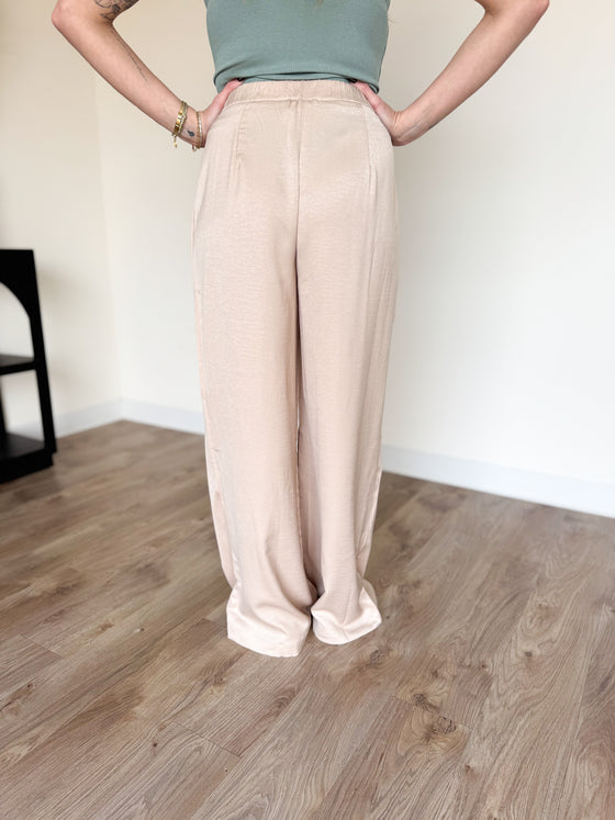 Isolde Wide Leg Pleated Pants in Almond