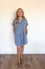 Tabitha Fray Hem Denim Button Front Dress